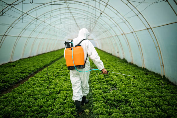 Best Mosquito Control Services  in Island City, OR
