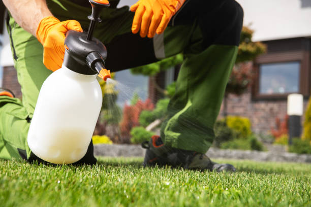 Best Cockroach Control Services  in Island City, OR