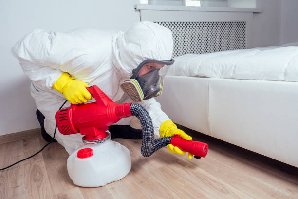 Professional Pest Control in Island City, OR