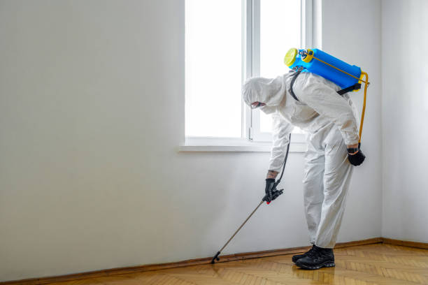 Best Spider Control Near Me  in Island City, OR