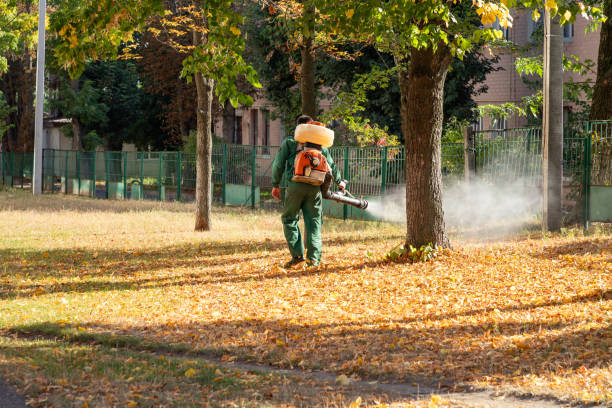 Best Flea Control Services  in Island City, OR