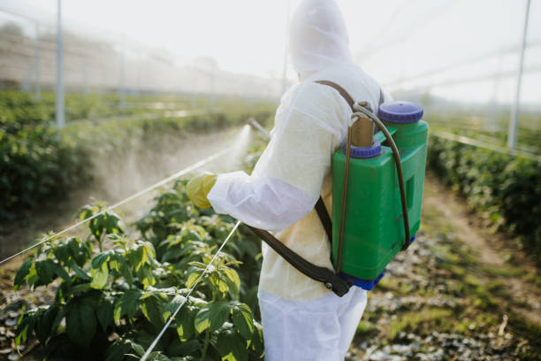 Best Insect Control  in Island City, OR